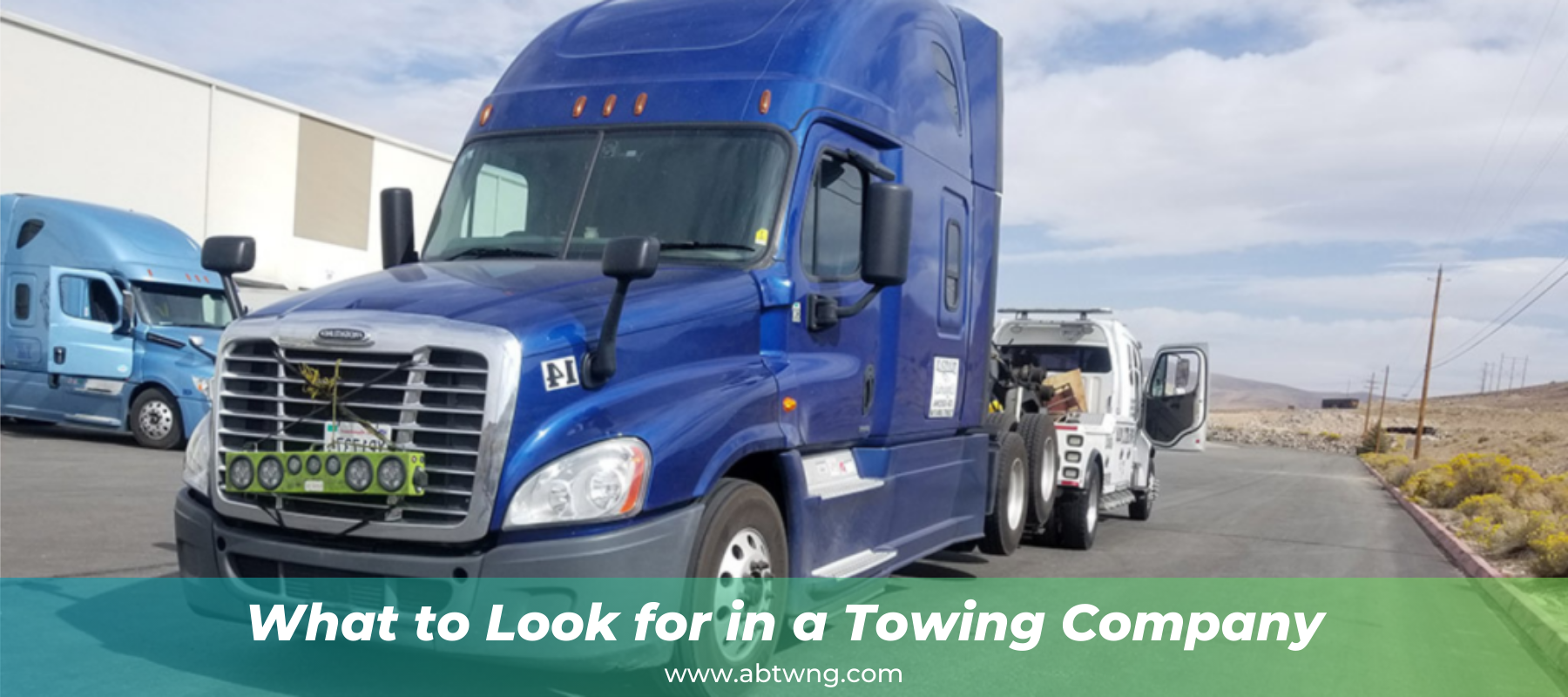 What to Look for in a Towing Company